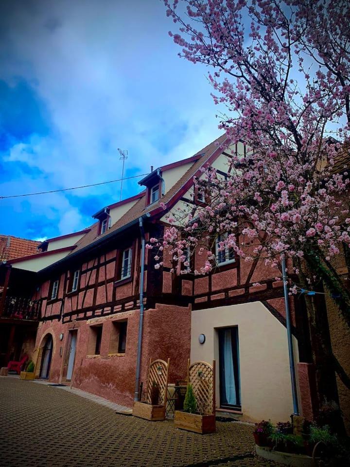 Le Clocher " Sous Les Combles" Parking Gratuit 베블렌하임 외부 사진
